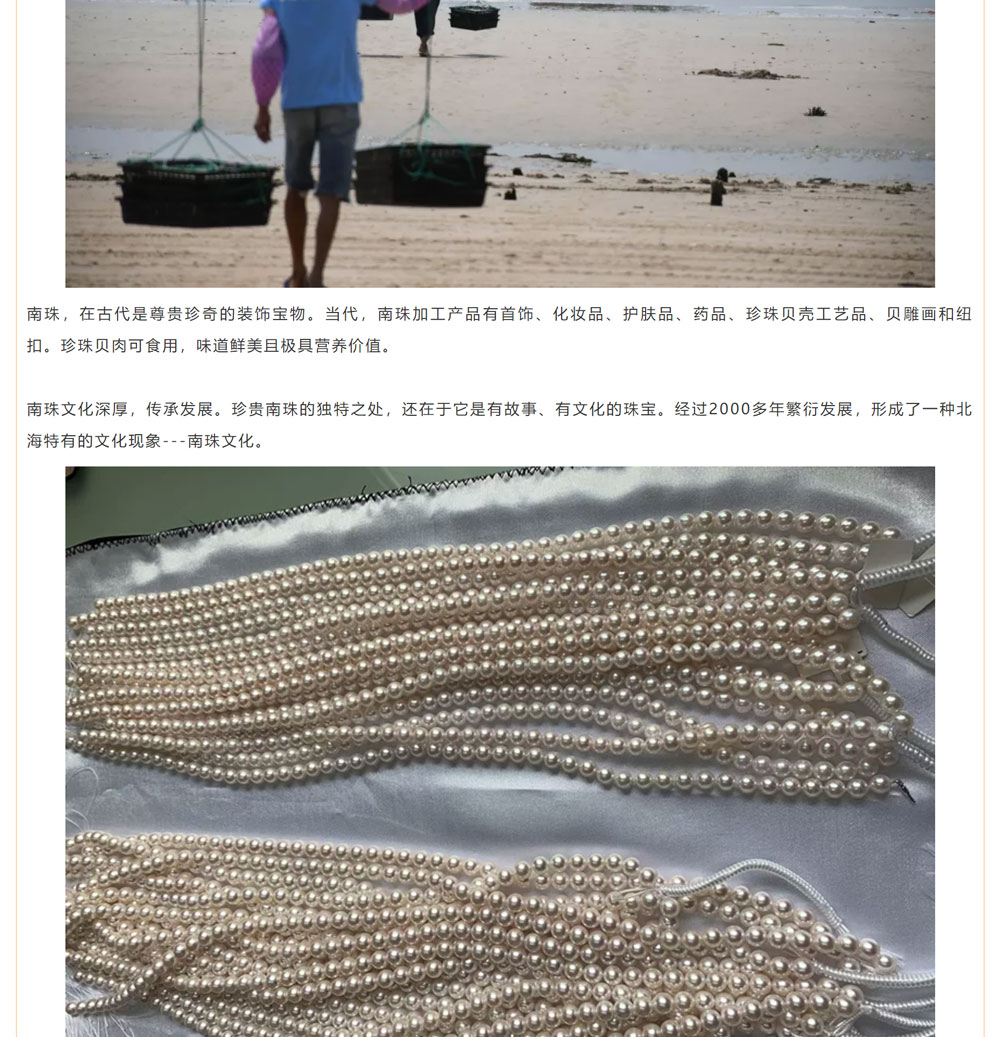 古老南珠，綻放異彩