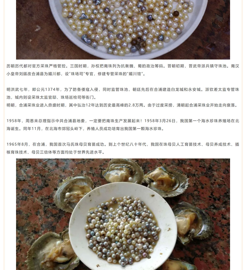 古老南珠，綻放異彩
