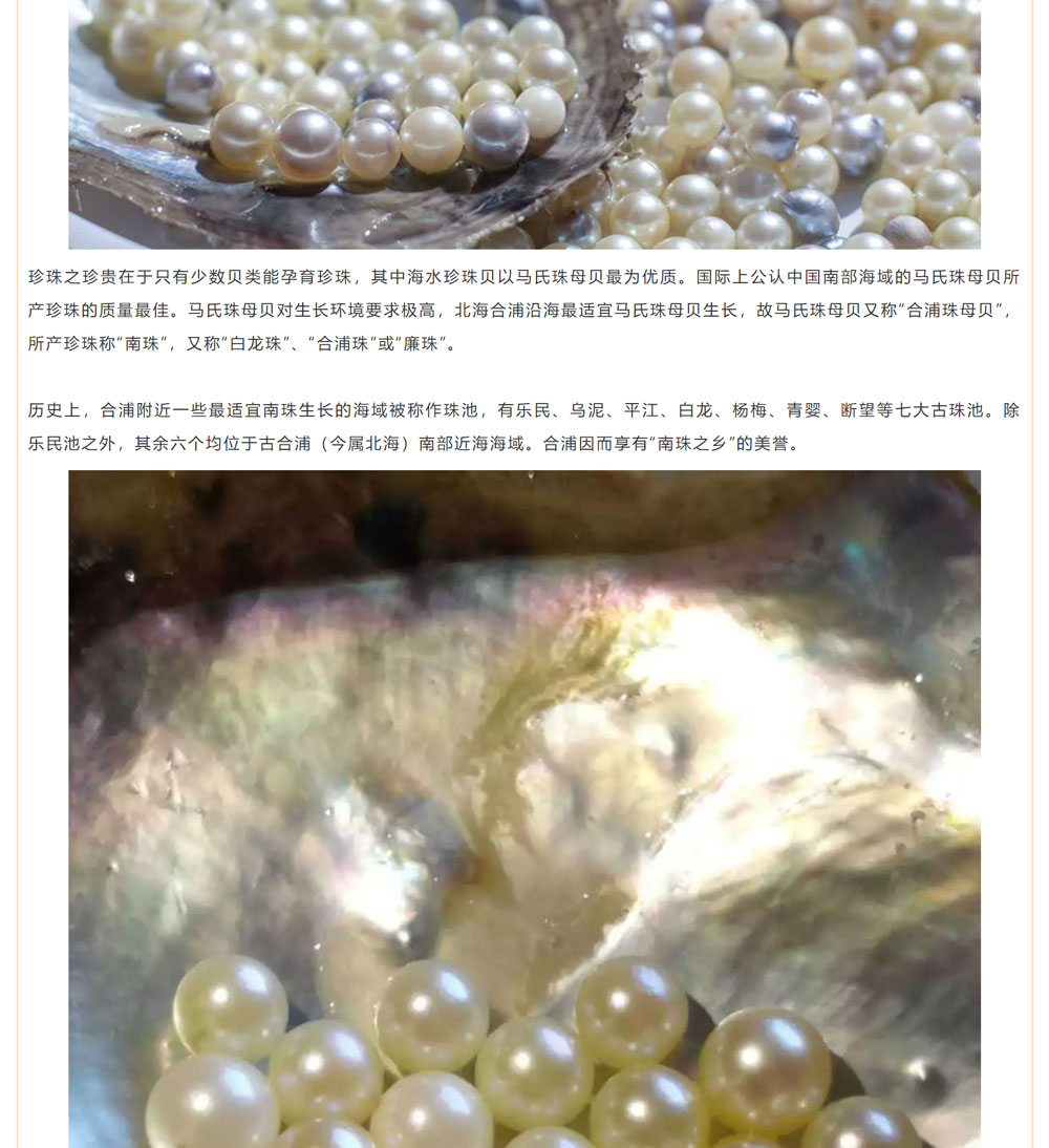 古老南珠，綻放異彩