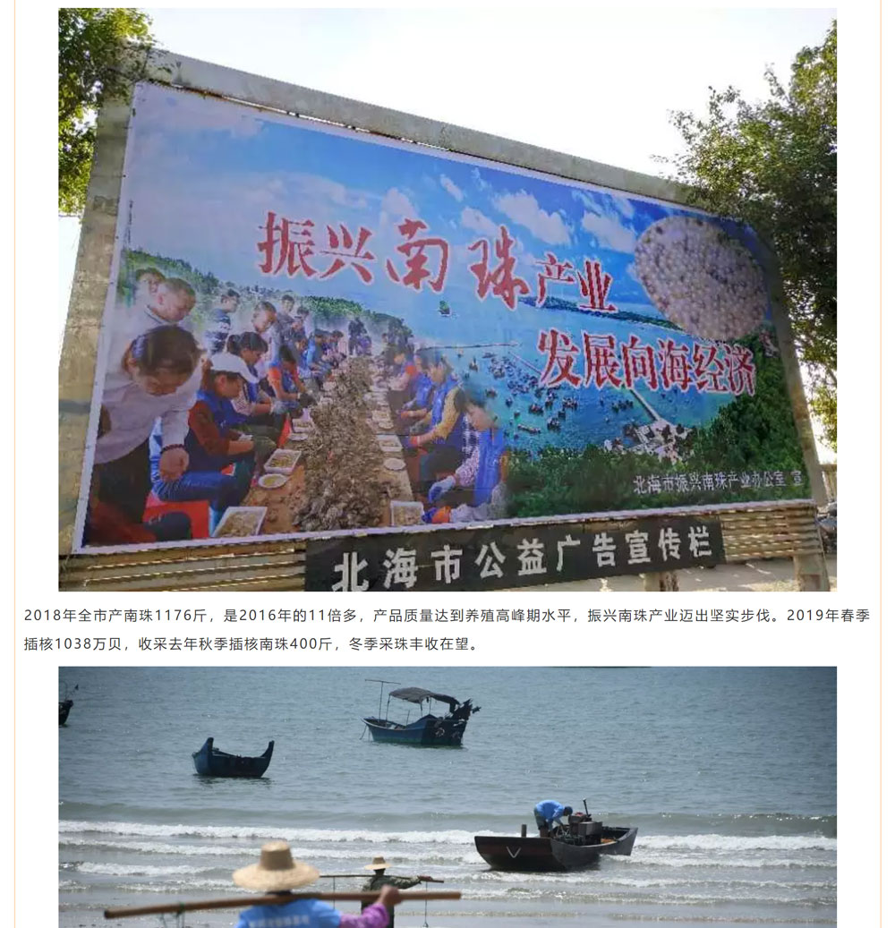 古老南珠，綻放異彩